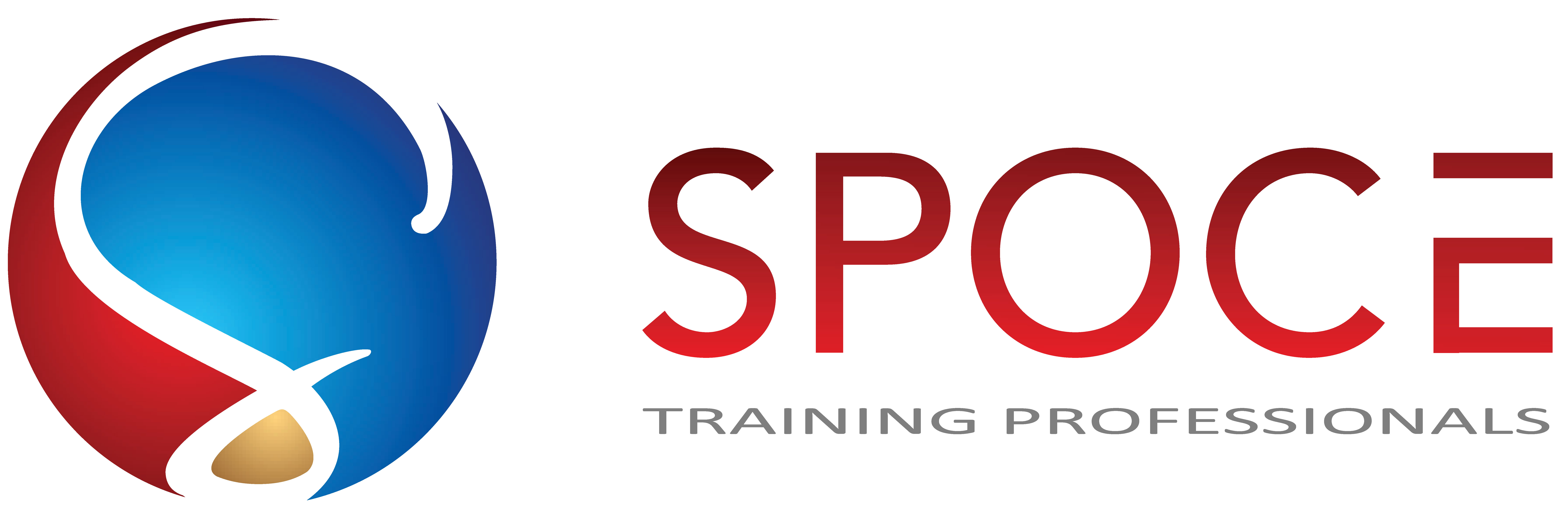 Spoce Project Management Training